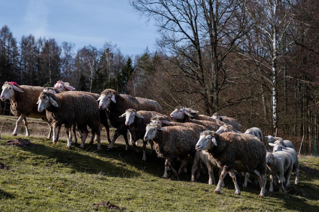 Ferienhaeuser Zur Schaeferei Mitwitz Buitenkant foto