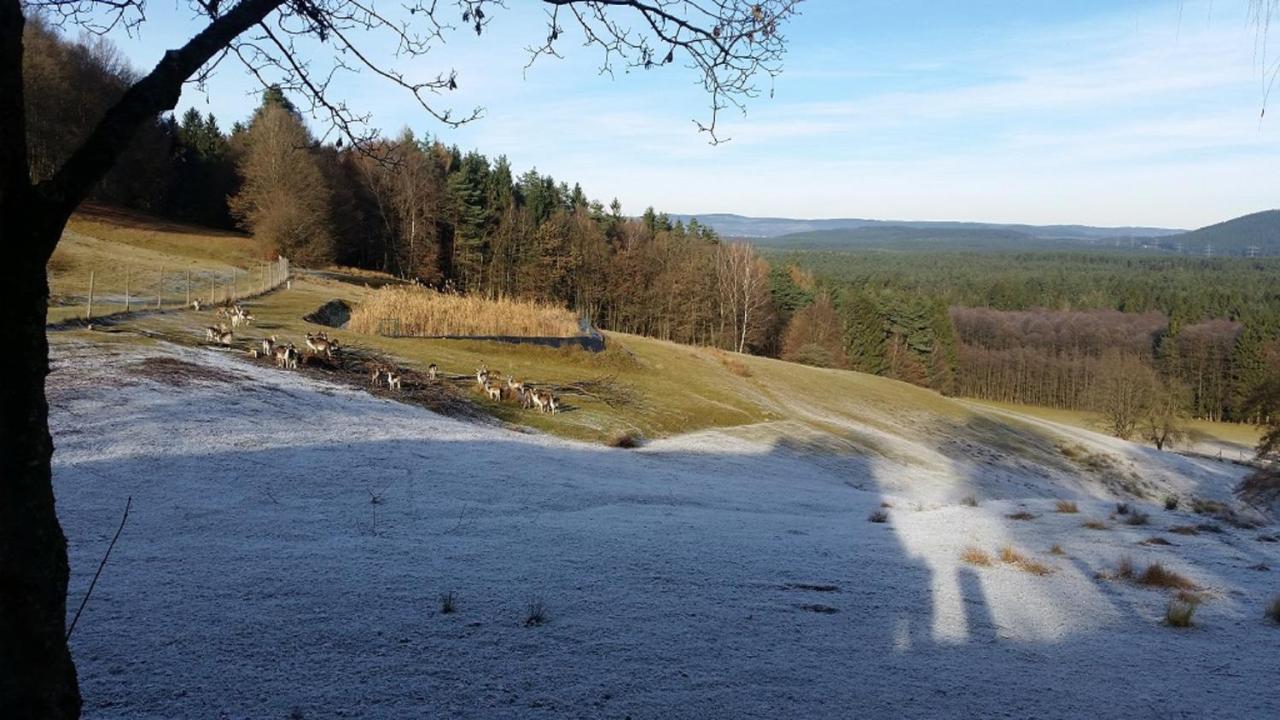 Ferienhaeuser Zur Schaeferei Mitwitz Buitenkant foto