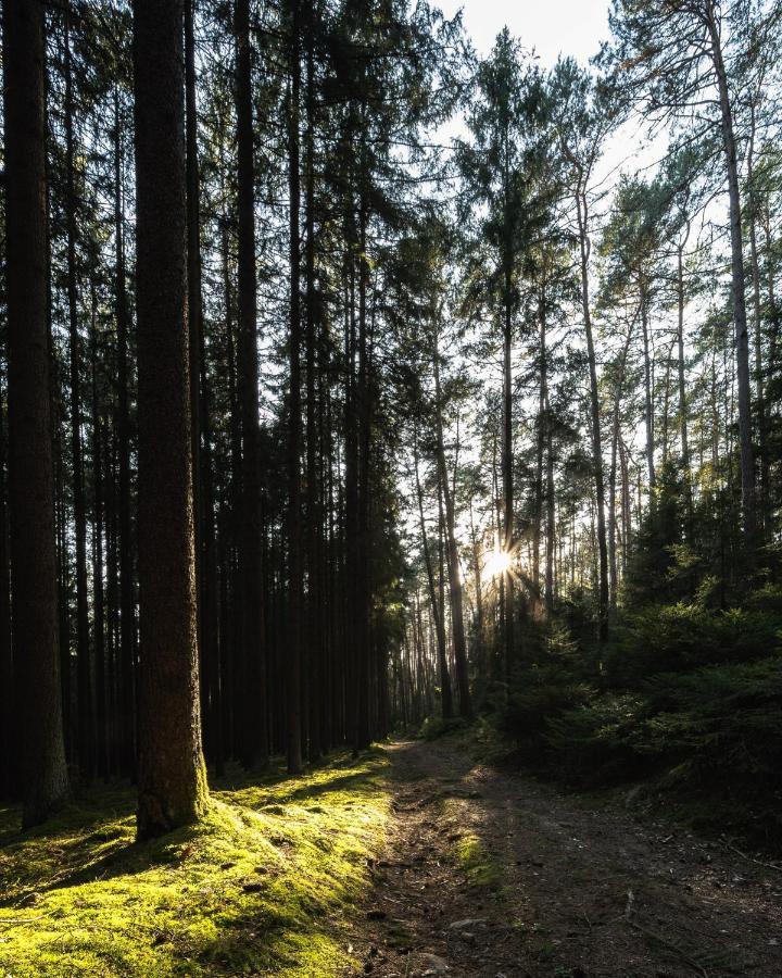 Ferienhaeuser Zur Schaeferei Mitwitz Buitenkant foto